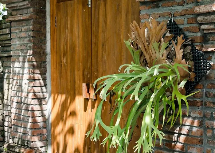 別荘 Private 3br Tropical L Pool & Open Living ジンバラン